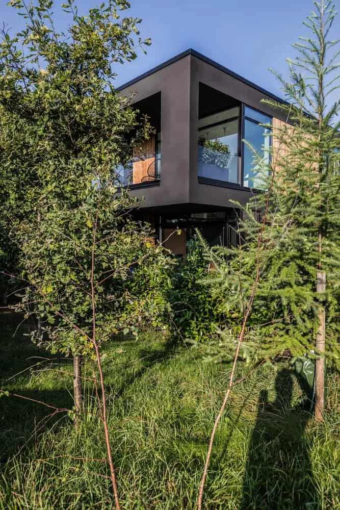 Villa S — wood, concrete and glass in a restrained interior palette