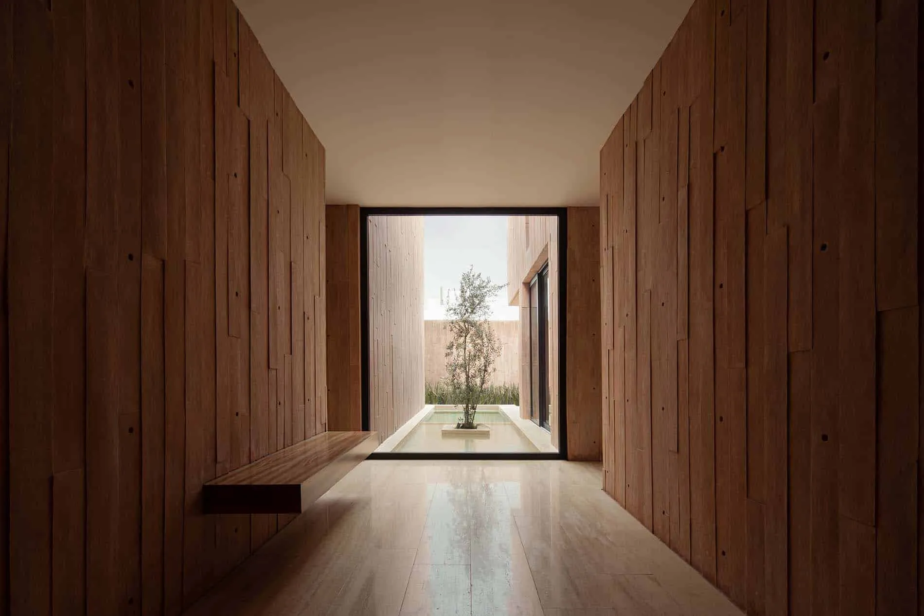 卢哈米博住宅的入口庭院，由Jorge Garibay Arquitectos设计——墨西哥胡里基拉的树与房屋之间