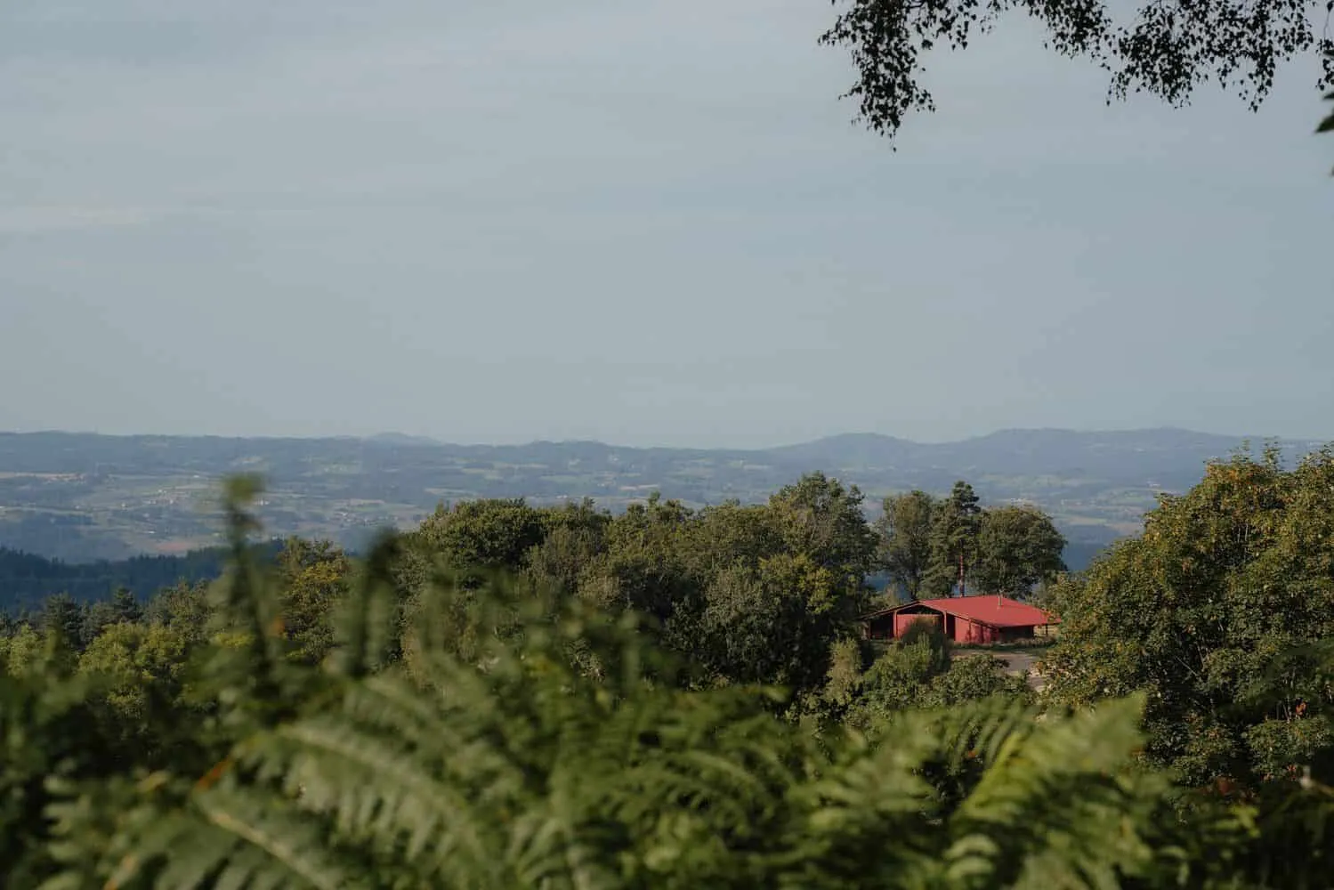 拉格兰热红屋，签尔德·拉森拍摄——多尔多涅省法国土壤一角