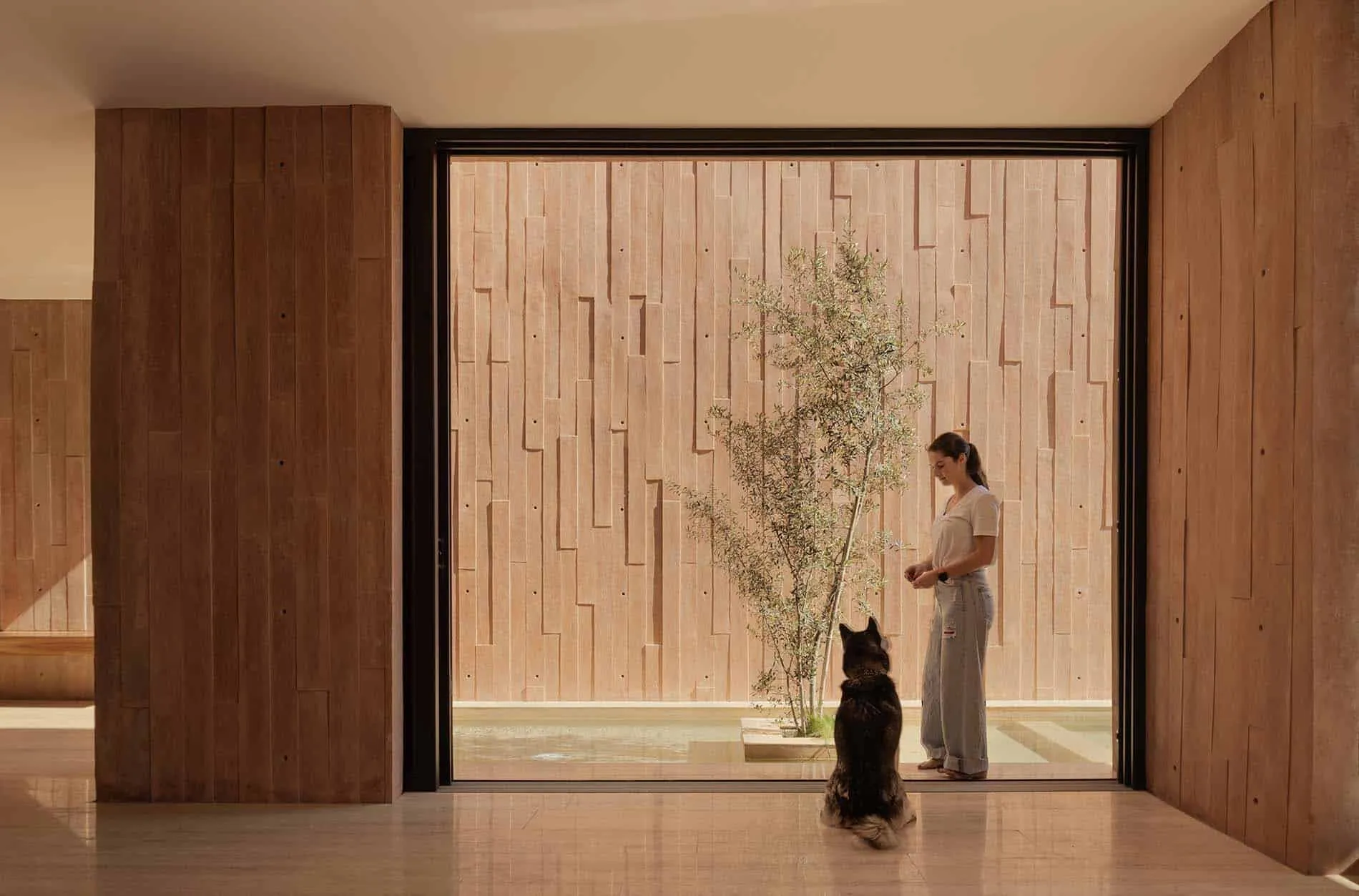 卢哈米博住宅庭院的窗户，由Jorge Garibay Arquitectos设计——墨西哥胡里基拉的树木景观