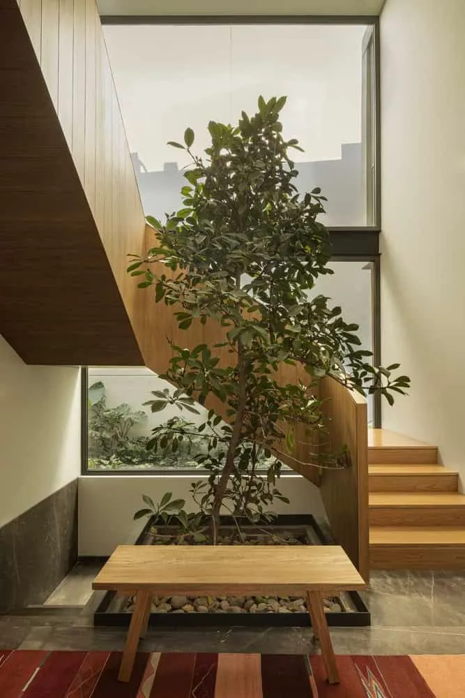 Casa DLCA Gartenfassade von 0studio Arquitectura Gartenfassade der Casa DLCA von 0studio Arquitectura mit Betonstruktur in Zapopan, Mexiko