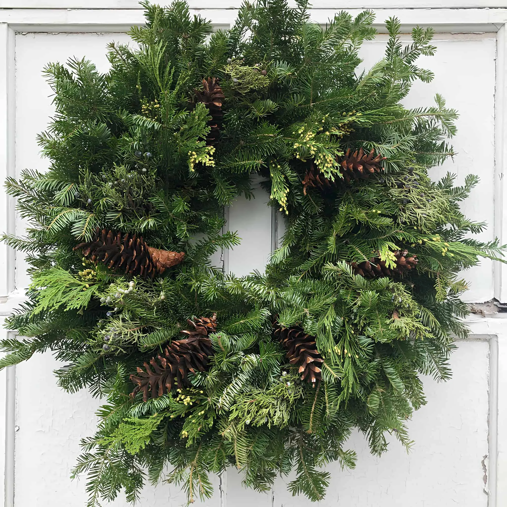 Klassische Weihnachtskrone aus immergrünen Kiefernzapfen Traditionelle Weihnachtskrone mit verstreuten Kiefernzapfen