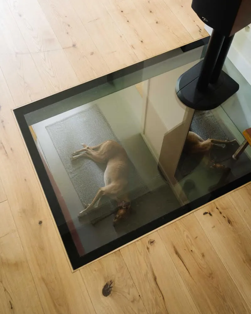 Skubianka House Glass Floor Dog by SZCZ Jakub Szczesny Hund, der auf einem Glasboden in einem modernen Wohnraum mit Holzböden und einer Stehlampe liegt.