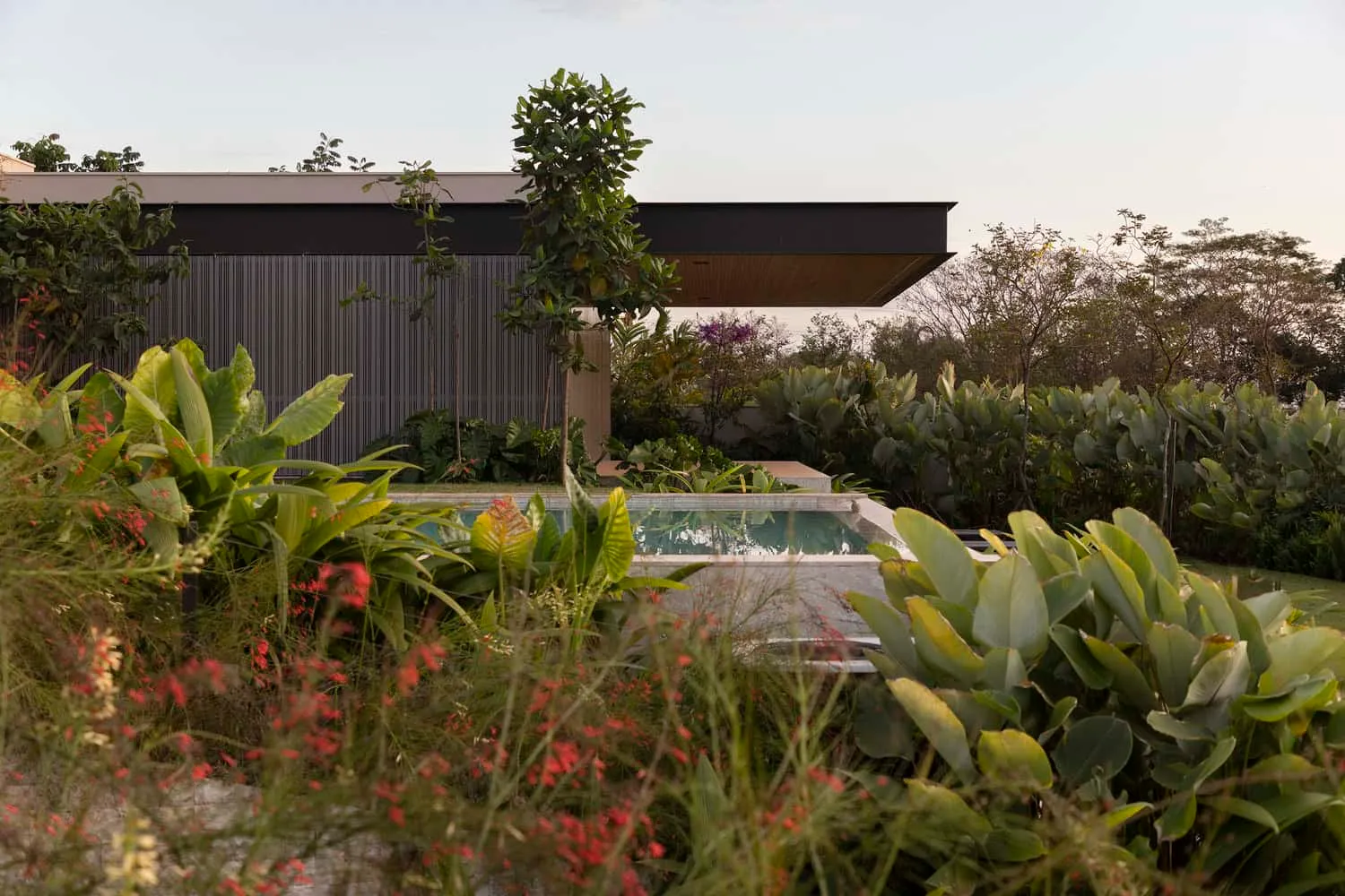 FE House Pool und Gartenansicht von N2B Arquitetura FE House von N2B Arquitetura: Pool umgeben von einem tropischen Garten in Ribeirão Preto, Brasilien