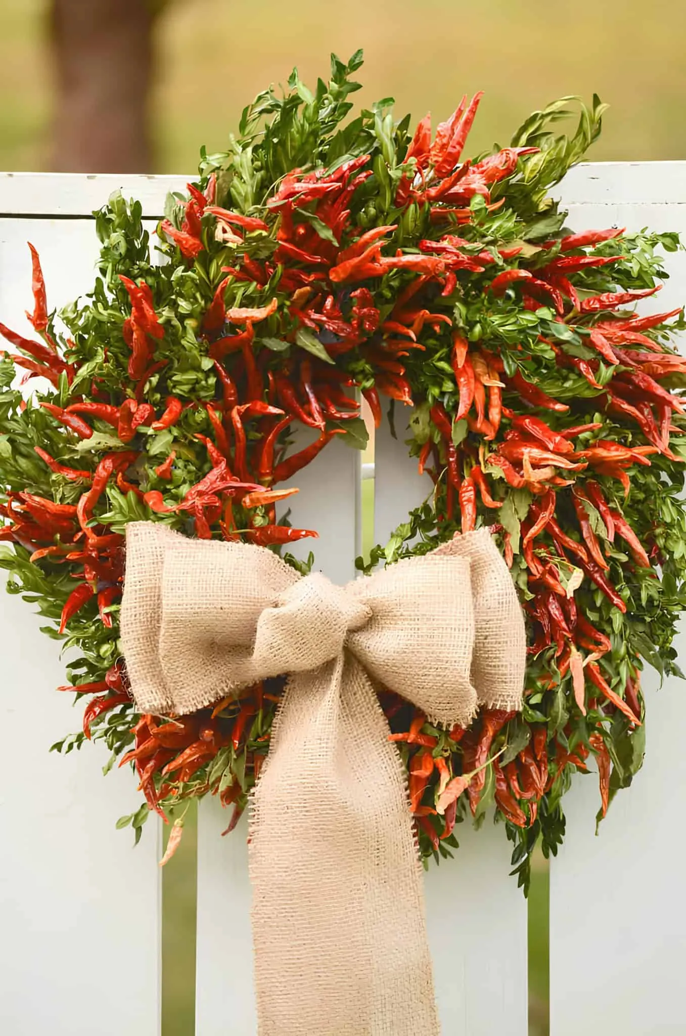 Chili-Pfeffer-Leinenschleifen-Kranz Festlicher Kranz aus roten Chilipfeffern und Grünpflanzen, verziert mit einer Leinenschleife