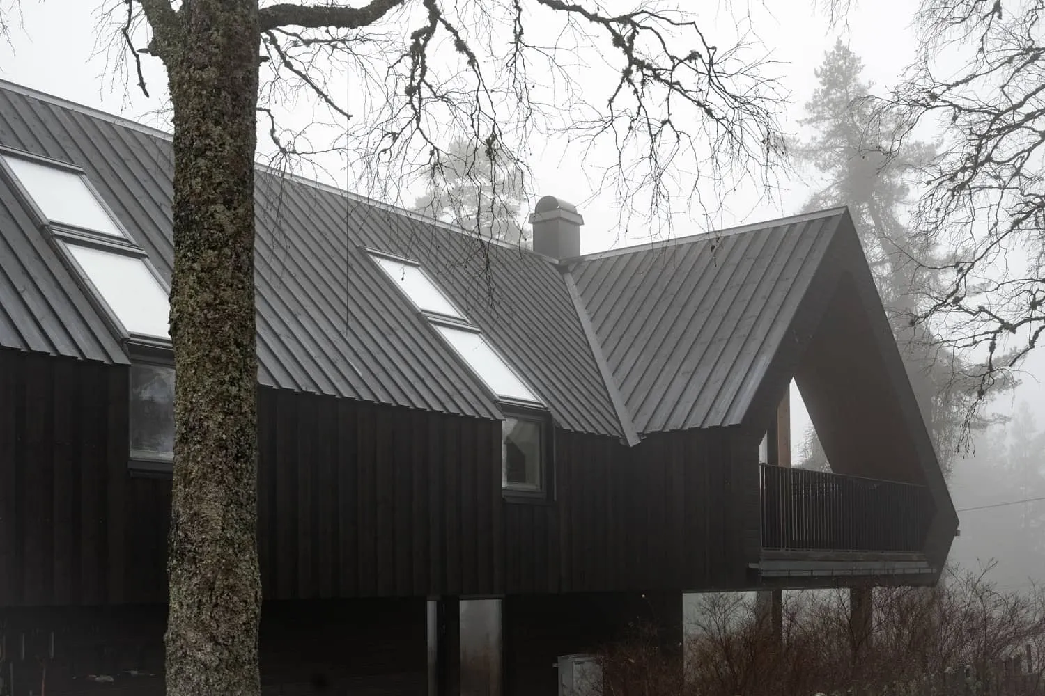 Solem Forest House Roof Slope & Skylights by MORFEUS arkitekter Solem Forest House by MORFEUS arkitekter, roof slope with skylights, Norway