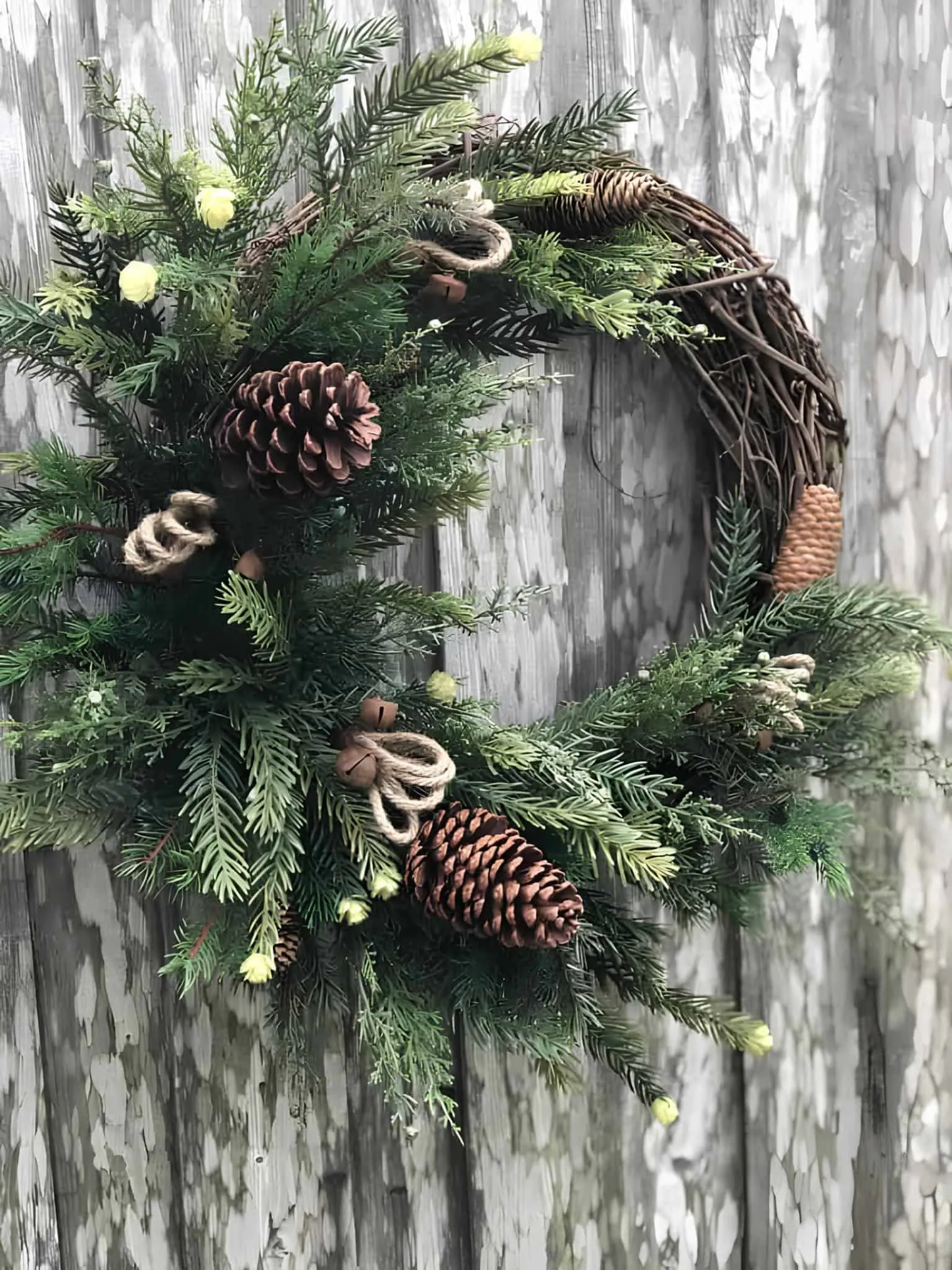 Rustikaler Holzkranz zum Weihnachtsfest mit Kiefernzapfen, Glocken und Grünpflanzen Natürlicher Holzkranz in Form eines Rebenrankens mit großen Kiefernzapfen, Schnürglocken und üppigen immergrünen Zweigen