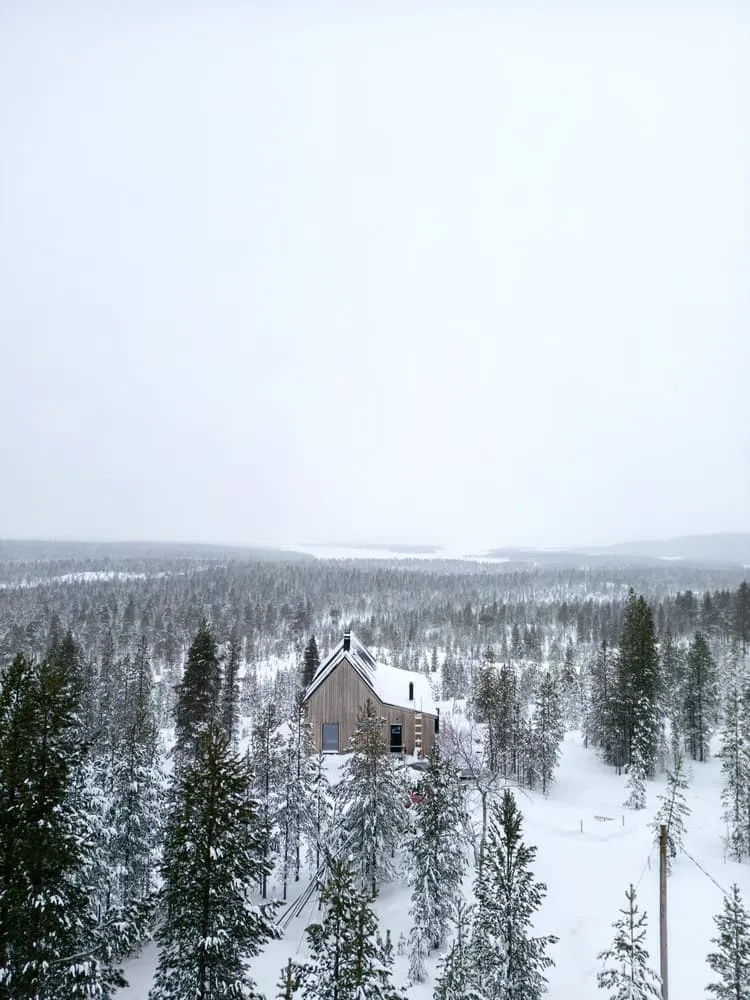 Pirinen Salo Oy拍摄的森林中的山丘上的房屋 芬兰伊纳里地区森林背景中的Pirinen Salo Oy拍摄的山丘上的房屋