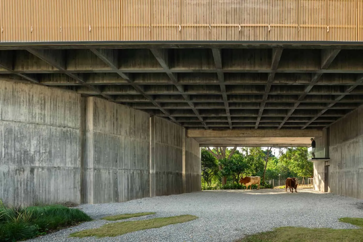 Betonraum im Untergeschoss von W House II von IDIN Architects Offener Betonraum im Untergeschoss von W House II von IDIN Architects in Thailand