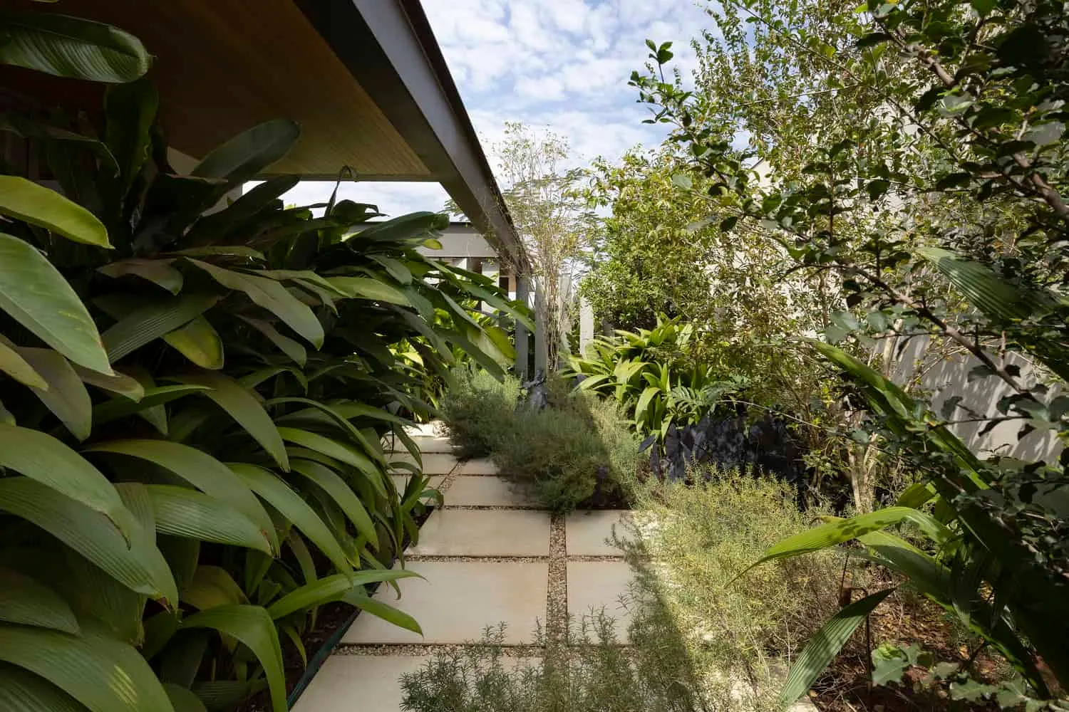 Sendero del jardín lateral de la casa FE por N2B Arquitetura Sendero del jardín lateral de la casa FE por N2B Arquitetura con vegetación tropical densa en Ribeirão Preto, Brasil