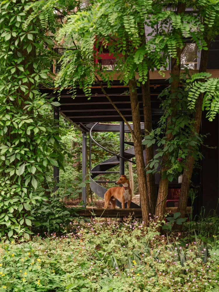 Skubianka House Garden Dog Spiral Stairs by SZCZ Jakub Szczesny Eine spiralförmige Außentreppe, umgeben von üppigem grünem Laub und Bäumen, mit einem Hund auf der unteren Stufe – sie zeigt moderne Architektur in Einklang mit der Natur und eignet sich hervorragend als Inspiration für Garten- und Landschaftsgestaltung.