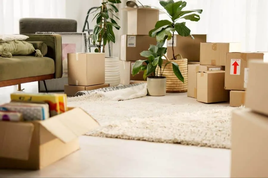 Relocating to Lake Whitney, Texas: What Design-Conscious Homeowners Need to Know Before the Move