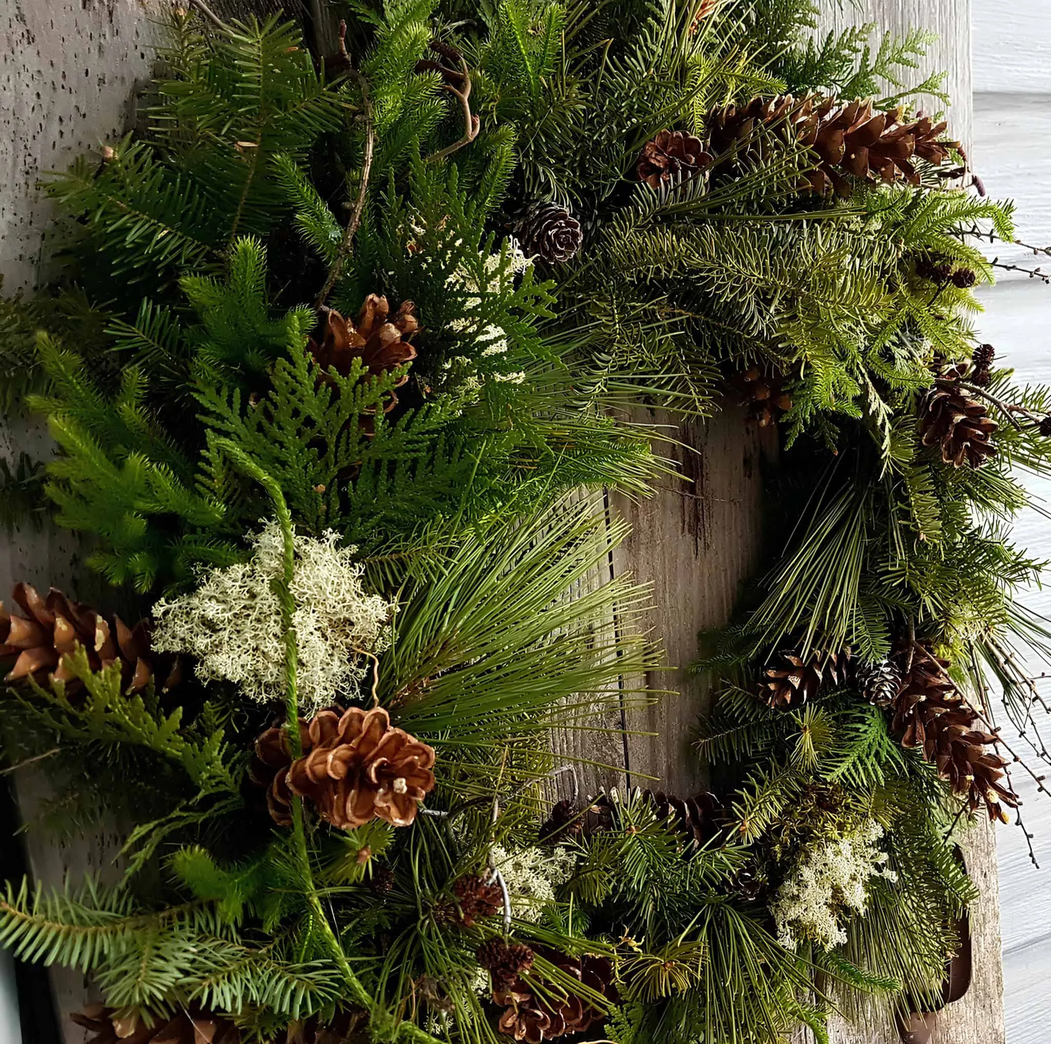 Weihnachtskrone aus immergrünen Kiefernzapfen im Waldstil Weihnachtskrone im Waldstil mit gemischten immergrünen Pflanzen und Kiefernzapfen