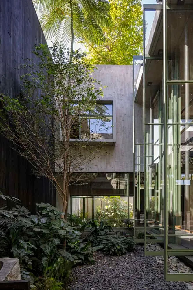 Di Frenna Architects Atelier Courtyard Facade by Di Frenna Arquitectos 墨西哥科利马地区Di Frenna Architects工作室的混凝土庭院立面