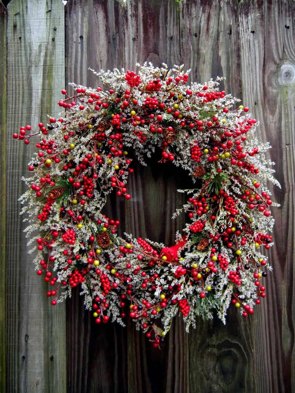 Gefrorener Kardinalbeerkranz Gefrorener Weihnachtsbeerkranz mit einem roten Kardinal und schneebedeckter Grünpflanzenpracht