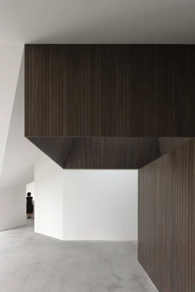 Re-folded House Interior Timber Canopy Hall by McLeod Bovell Modern Houses Re-folded House by McLeod Bovell Modern Houses, interior timber canopy hall, Vancouver