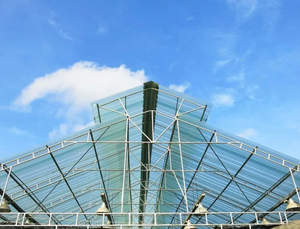 Fiberglass and Plastic Polymer Roofs – Lightweight Options Contemporary pergola with fiberglass polymer roof panels—lightweight translucent roofing for modern outdoor design