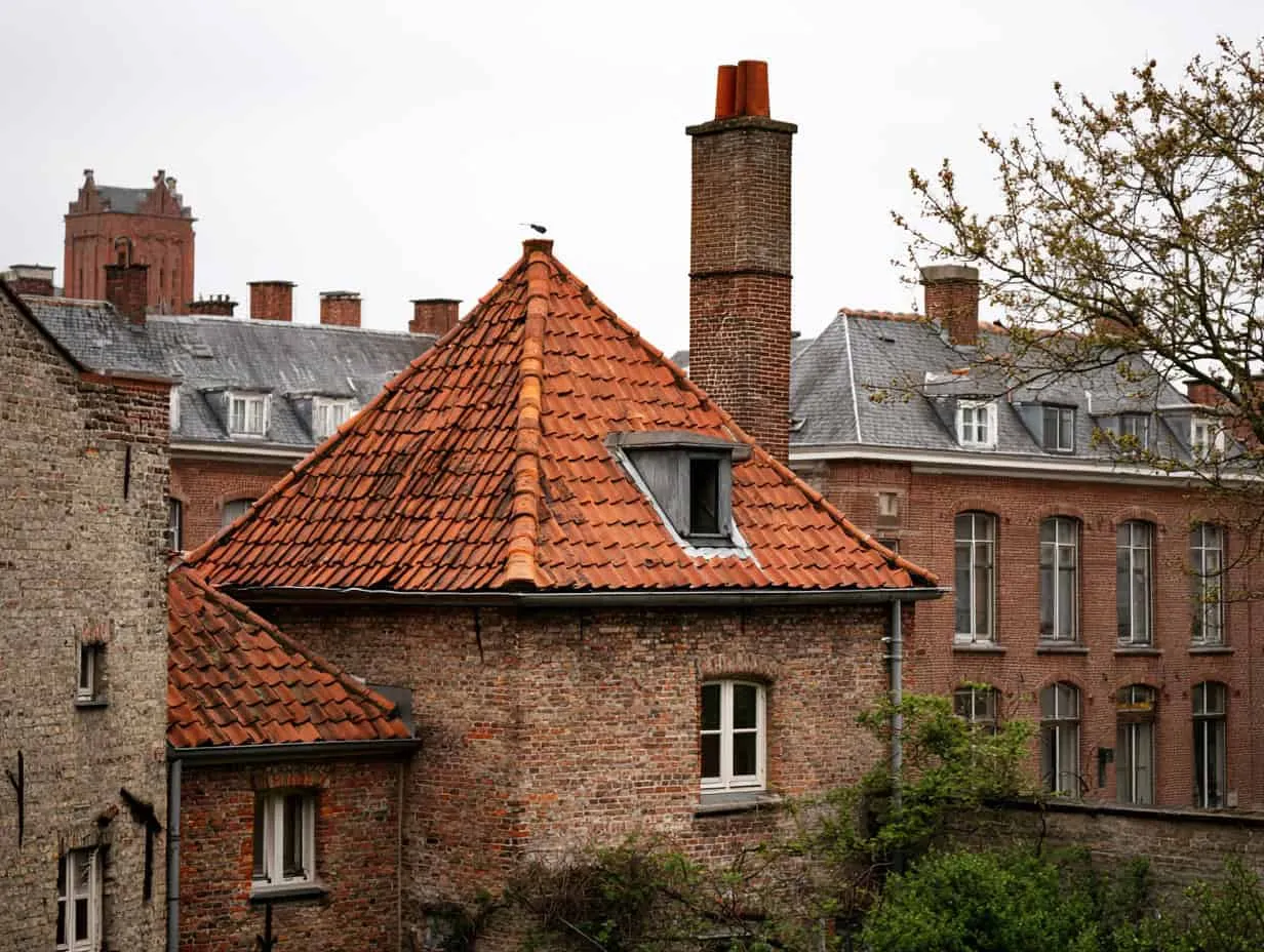 Die charakteristische Dachlandschaft: Eine Erkundung des architektonischen Erbes der historischen Dächer Dublins