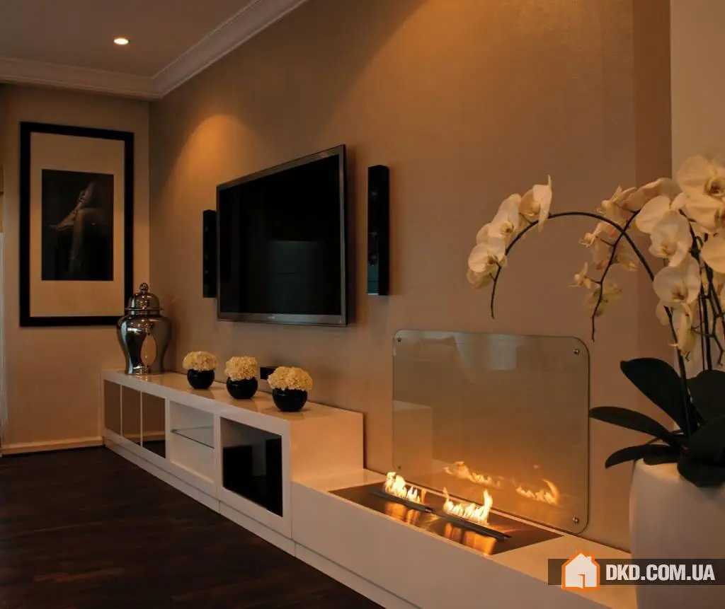 Сучасні ідеї дизайну камінів у гостьових, відповідні декору - Gallery image 4