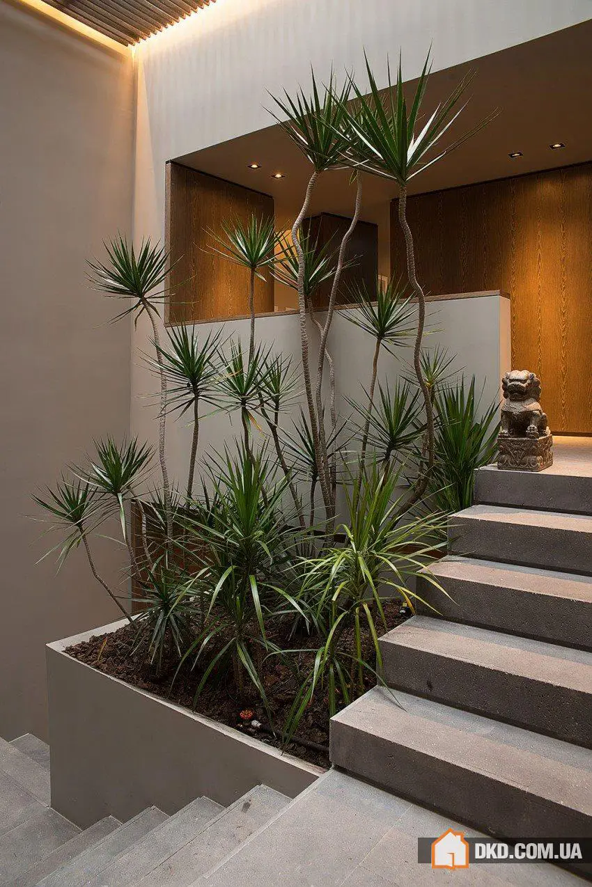 Дім Барранкас від EZEQUIELFARCA архітектура та дизайн ᴷᴬ - Gallery image 9