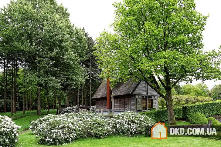 Дерев'яна хатина в Нідерландах - Gallery image 10