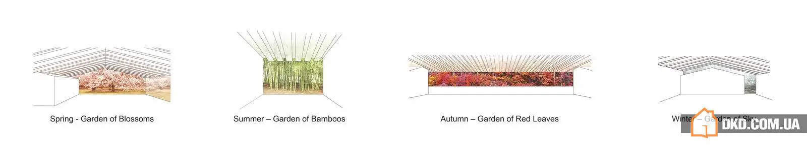 Офіс у лісі для Aquaplannet - Gallery image 10