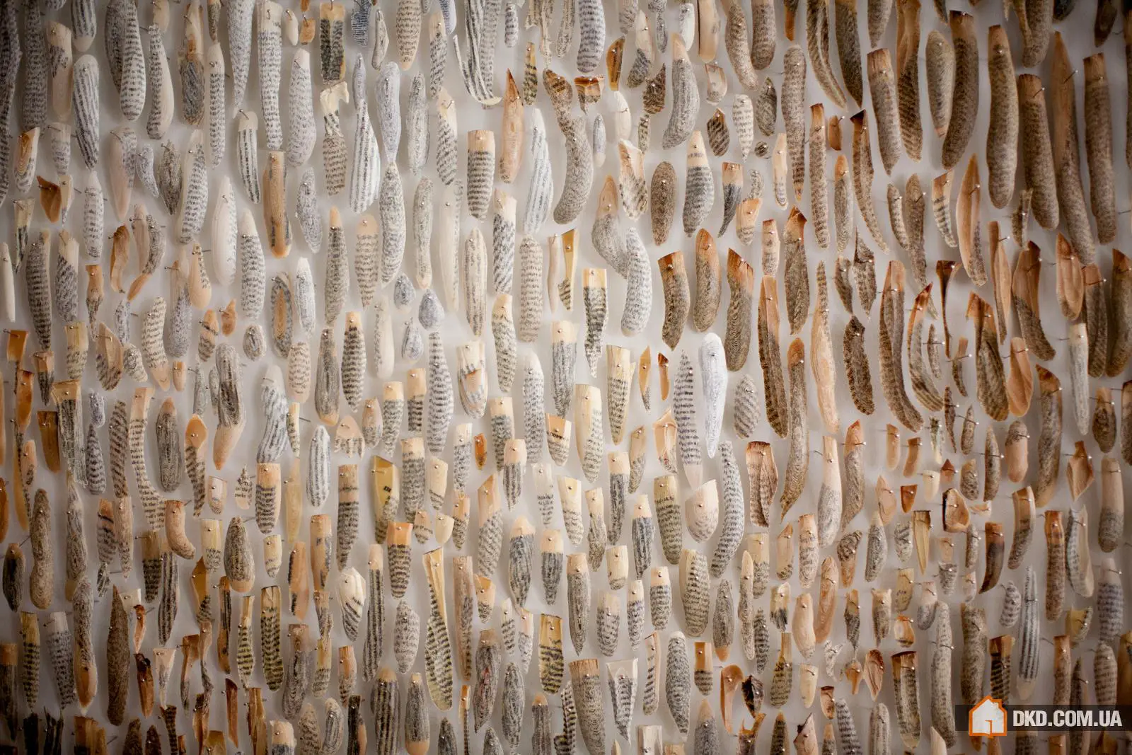 Family Residence in Texas - Gallery image 11