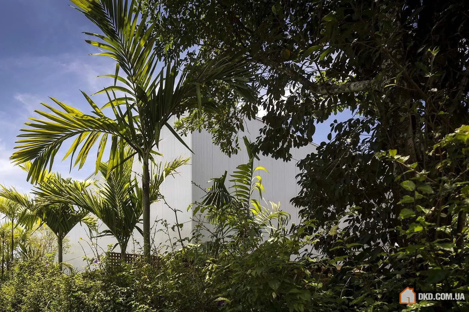 Тропический особняк в Бразилии - Gallery image 28